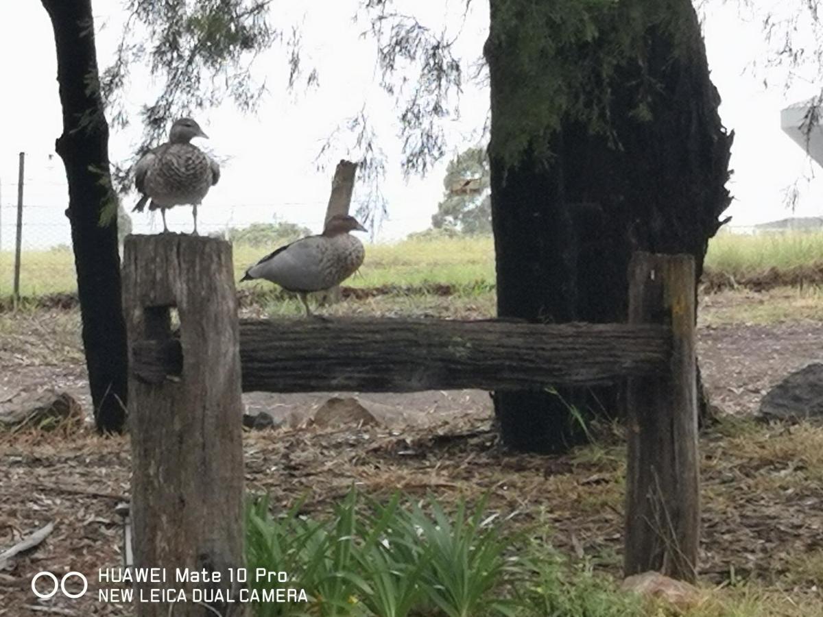 Kalimna Woods Cottages Lakes Entrance Buitenkant foto
