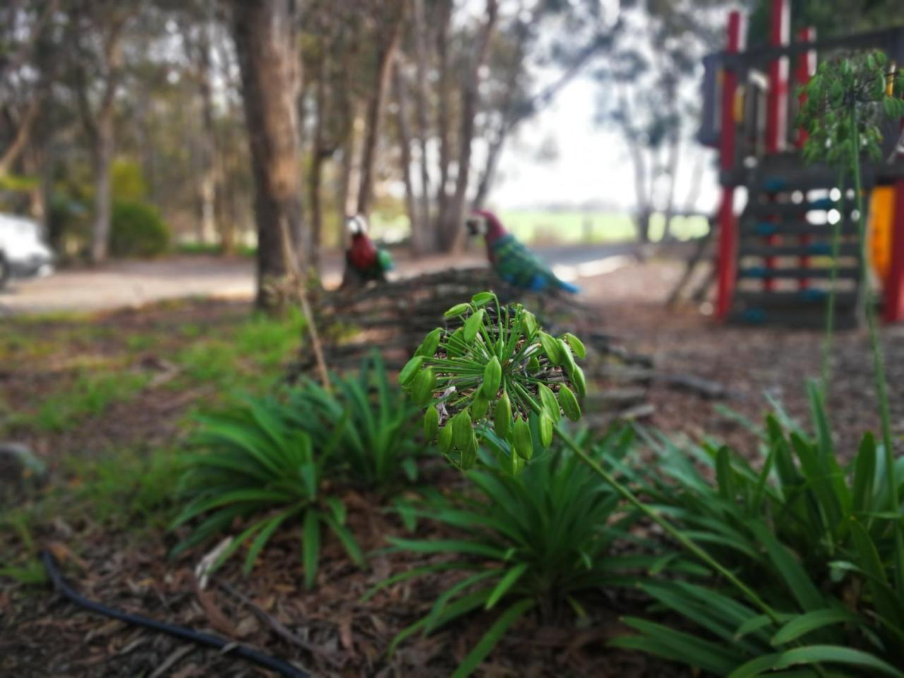 Kalimna Woods Cottages Lakes Entrance Buitenkant foto