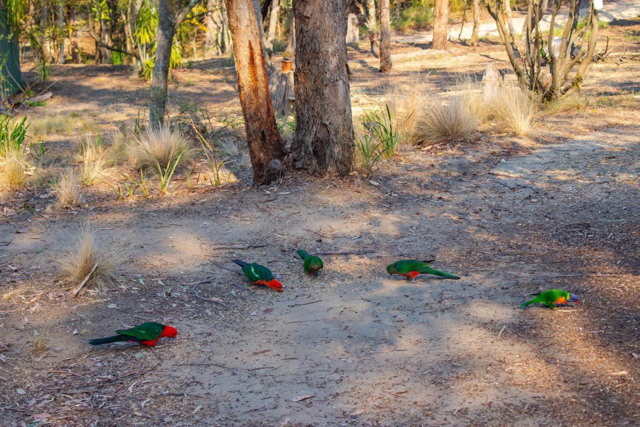 Kalimna Woods Cottages Lakes Entrance Buitenkant foto