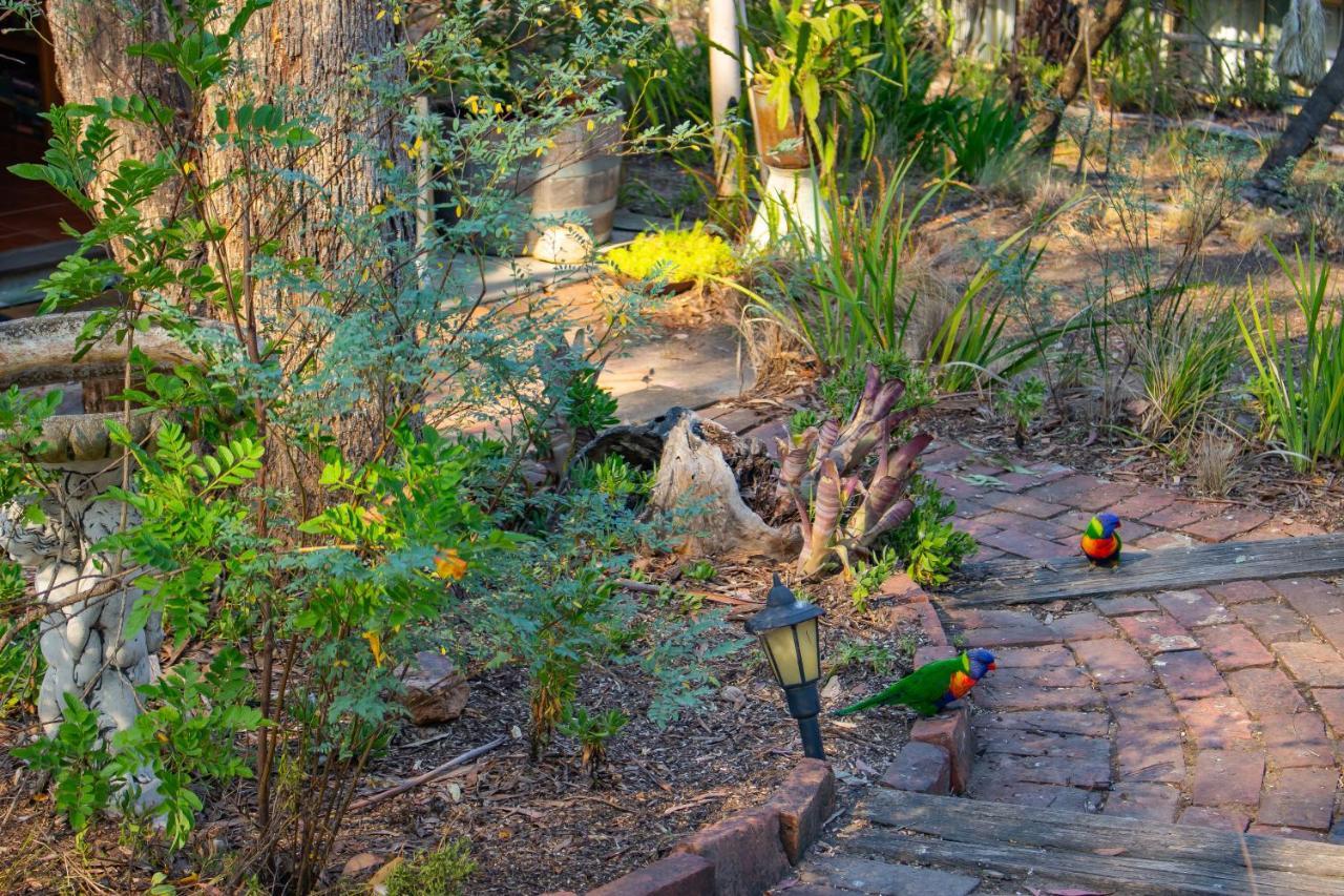 Kalimna Woods Cottages Lakes Entrance Buitenkant foto
