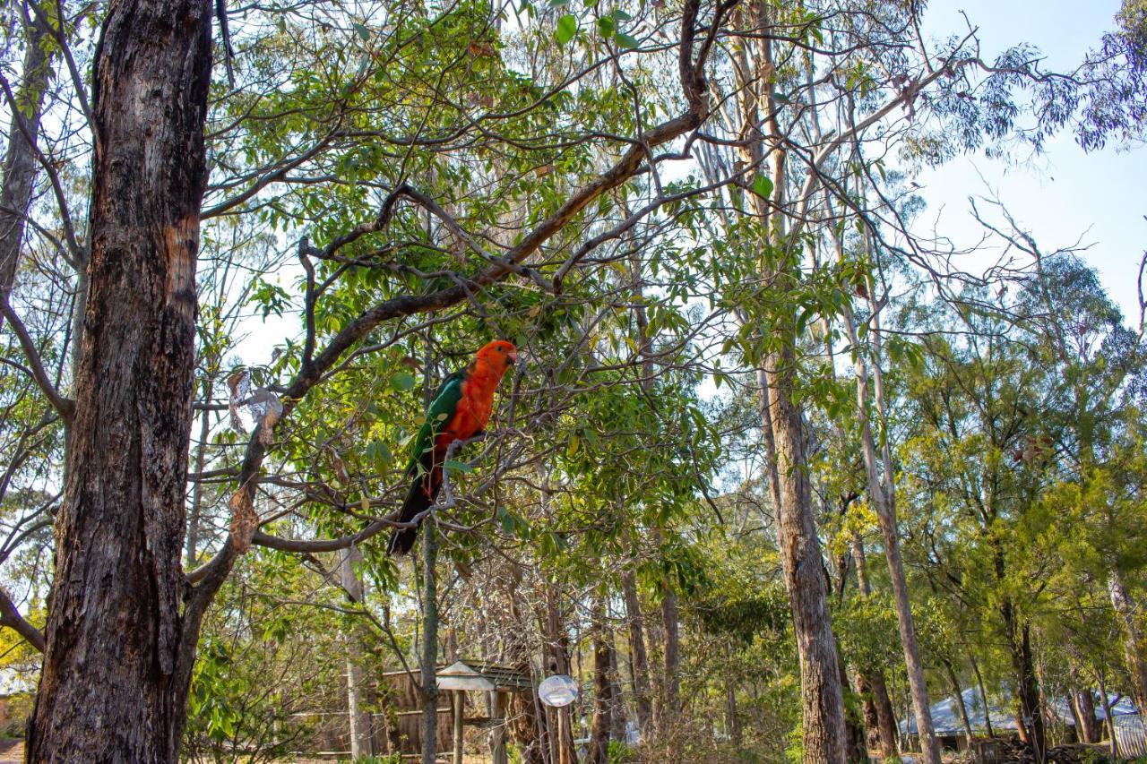 Kalimna Woods Cottages Lakes Entrance Buitenkant foto