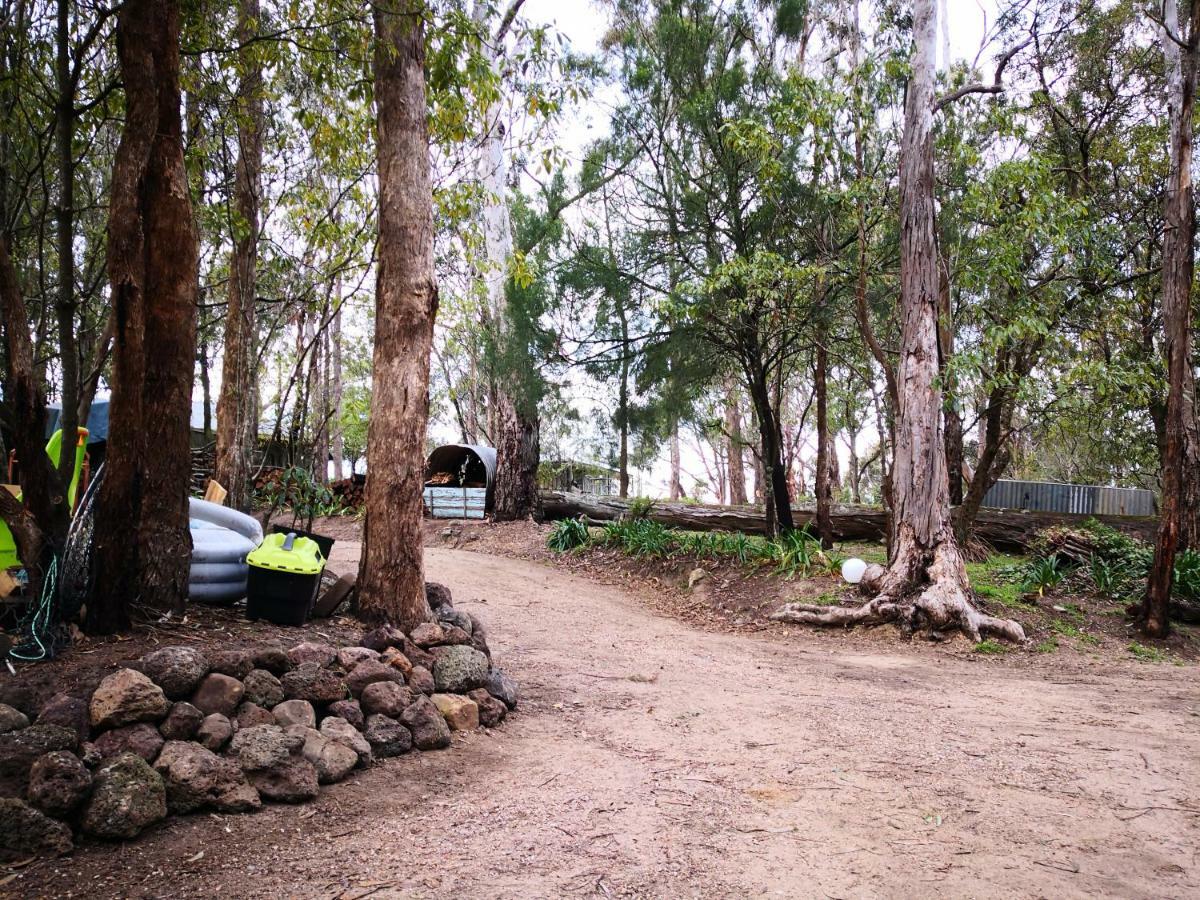 Kalimna Woods Cottages Lakes Entrance Buitenkant foto